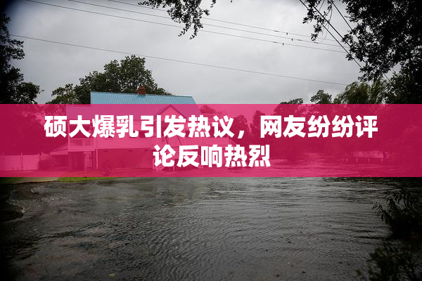 硕大爆乳引发热议，网友纷纷评论反响热烈