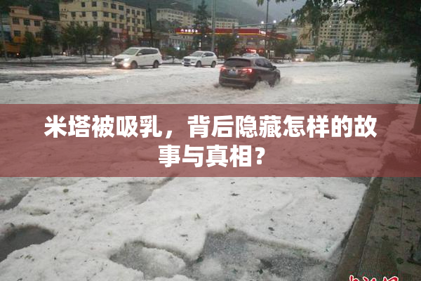 米塔被吸乳，背后隐藏怎样的故事与真相？
