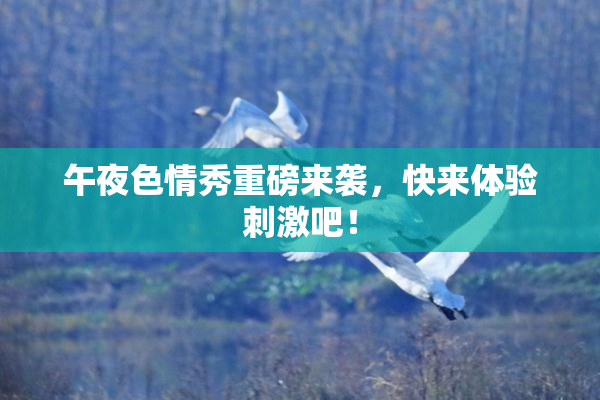 午夜色情秀重磅来袭，快来体验刺激吧！