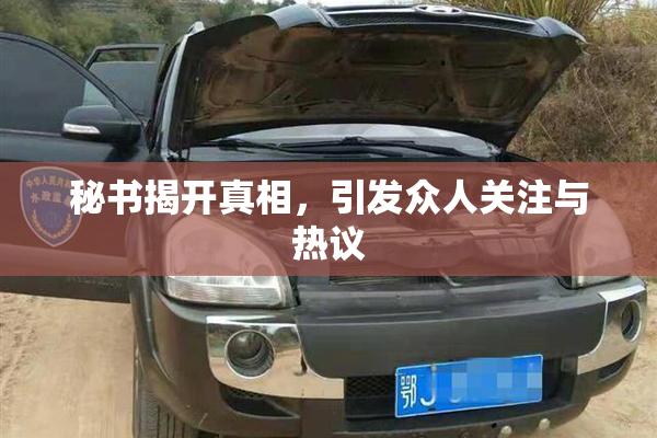 秘书揭开真相，引发众人关注与热议