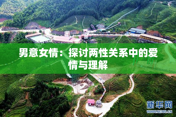 男意女情：探讨两性关系中的爱情与理解