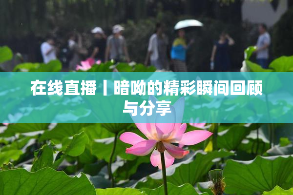 在线直播丨暗呦的精彩瞬间回顾与分享