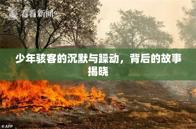 少年骇客的沉默与躁动，背后的故事揭晓