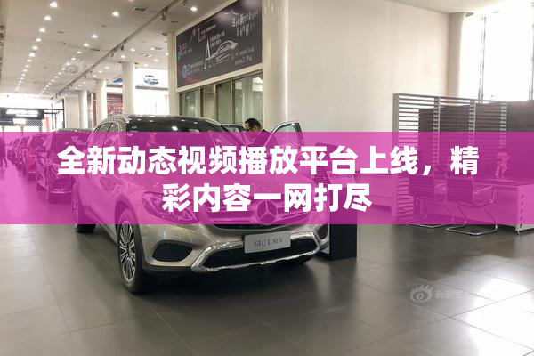 全新动态视频播放平台上线，精彩内容一网打尽