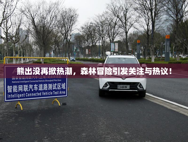 熊出没再掀热潮，森林冒险引发关注与热议！