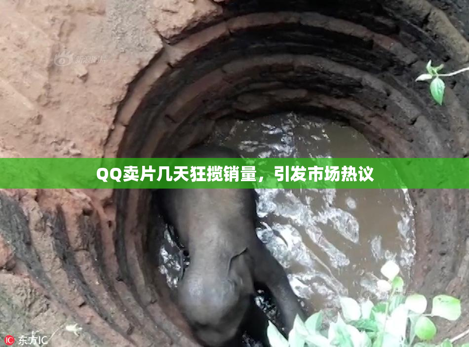 QQ卖片几天狂揽销量，引发市场热议