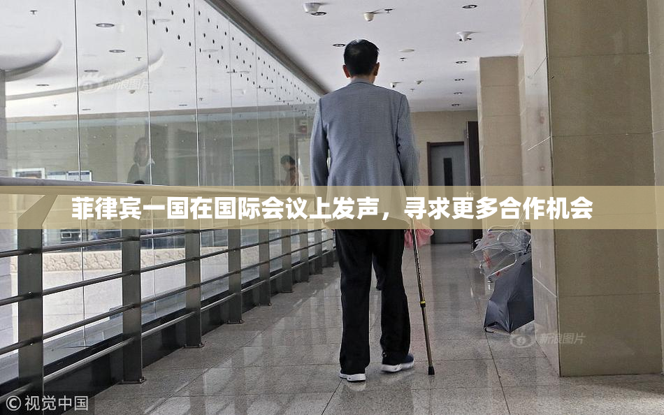 菲律宾一国在国际会议上发声，寻求更多合作机会