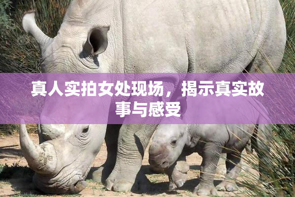 真人实拍女处现场，揭示真实故事与感受