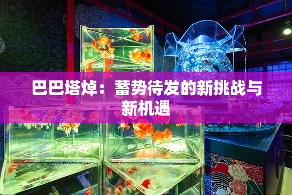 巴巴塔焯：蓄势待发的新挑战与新机遇