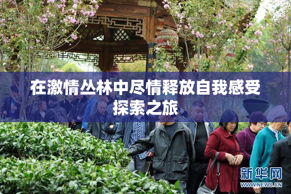 在激情丛林中尽情释放自我感受探索之旅