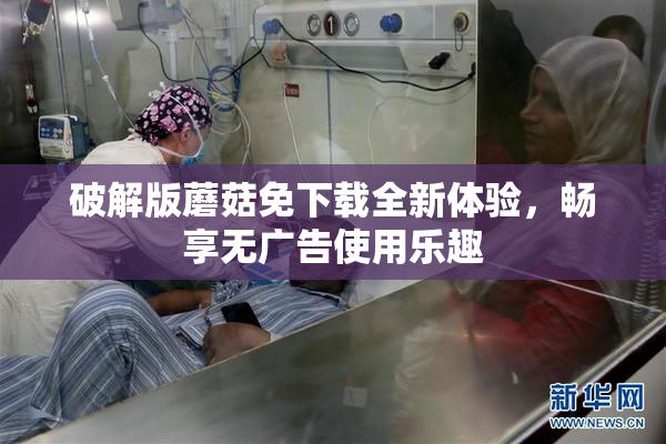破解版蘑菇免下载全新体验，畅享无广告使用乐趣