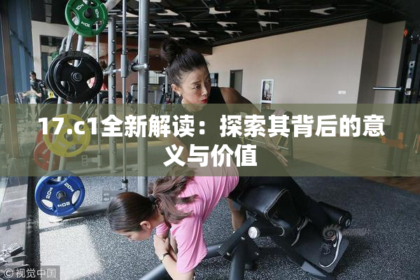 17.c1全新解读：探索其背后的意义与价值