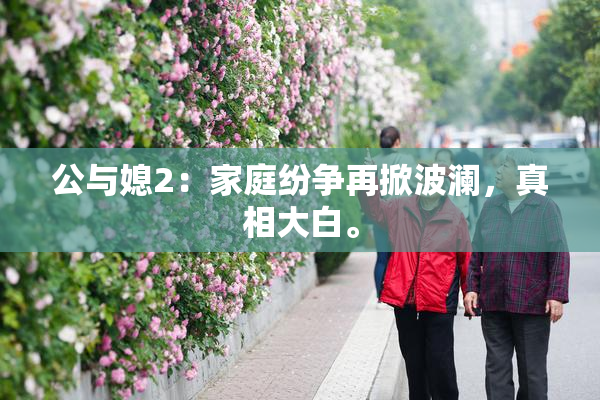 公与媳2：家庭纷争再掀波澜，真相大白。