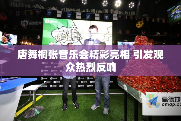 唐舞桐张音乐会精彩亮相 引发观众热烈反响