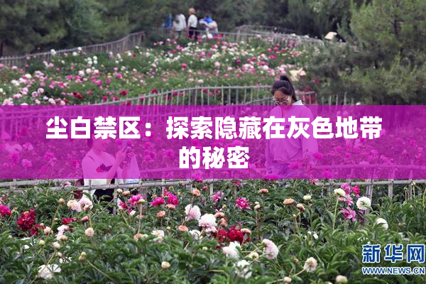 尘白禁区：探索隐藏在灰色地带的秘密