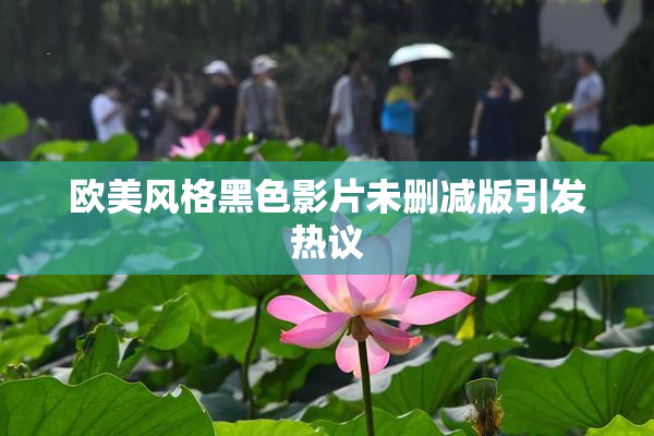 欧美风格黑色影片未删减版引发热议