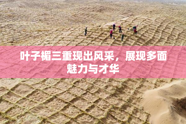 叶子楣三重现出风采，展现多面魅力与才华