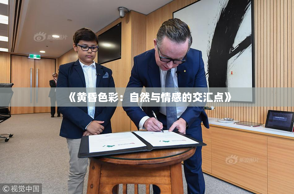 《黄昏色彩：自然与情感的交汇点》