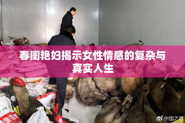 春闺艳妇揭示女性情感的复杂与真实人生