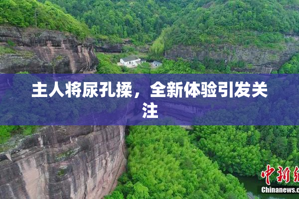 主人将尿孔揉，全新体验引发关注