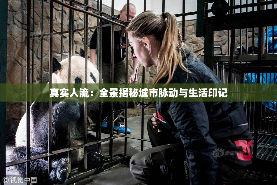 真实人流：全景揭秘城市脉动与生活印记