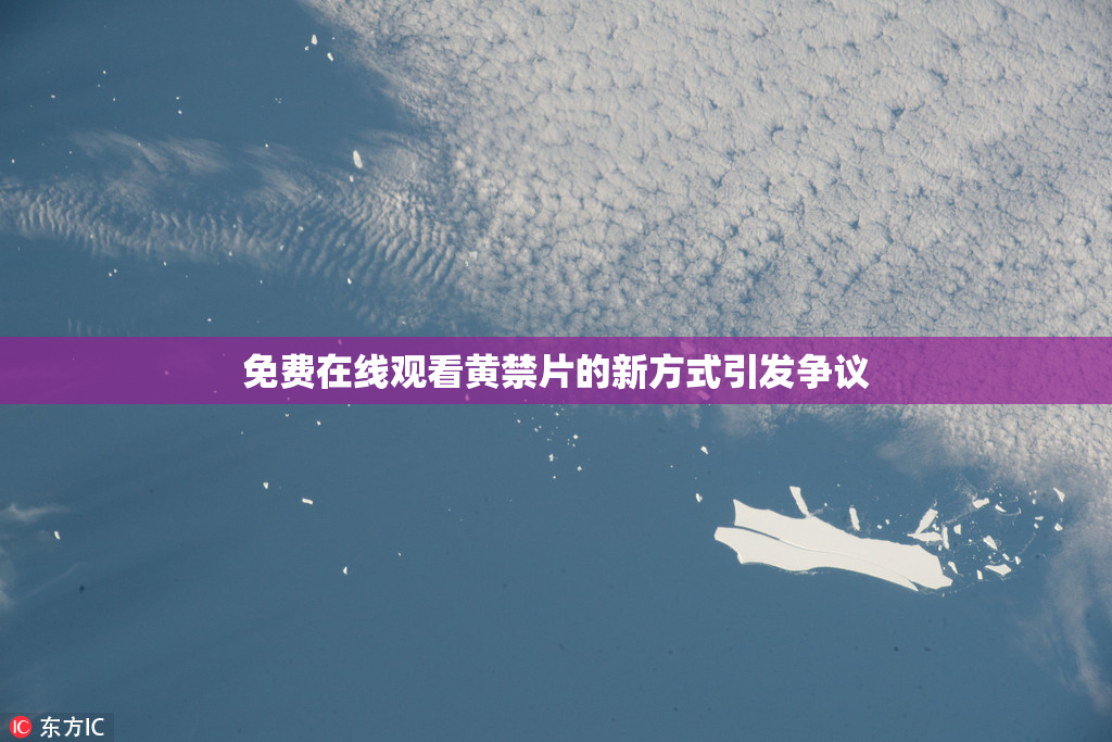 免费在线观看黄禁片的新方式引发争议