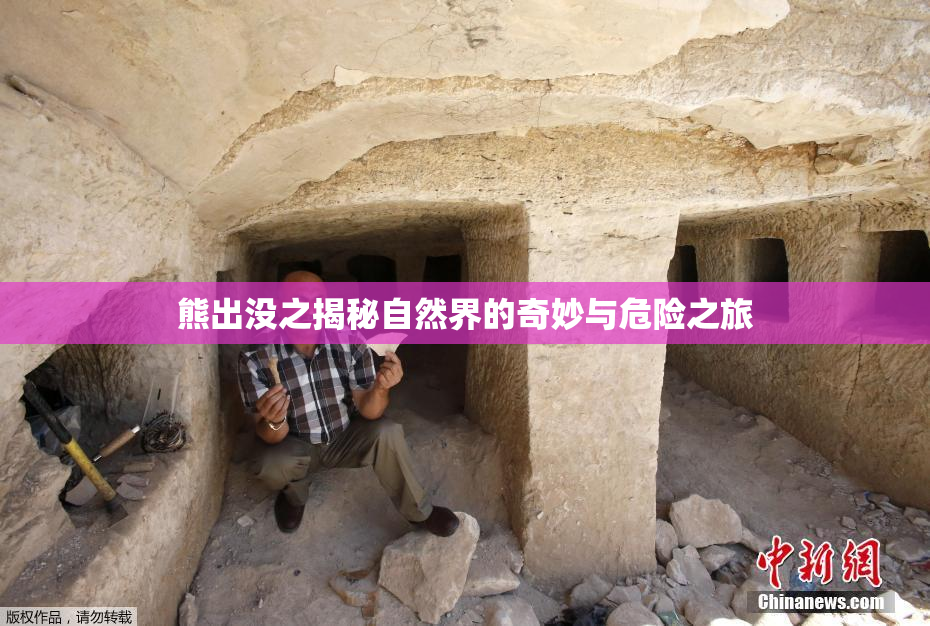 熊出没之揭秘自然界的奇妙与危险之旅