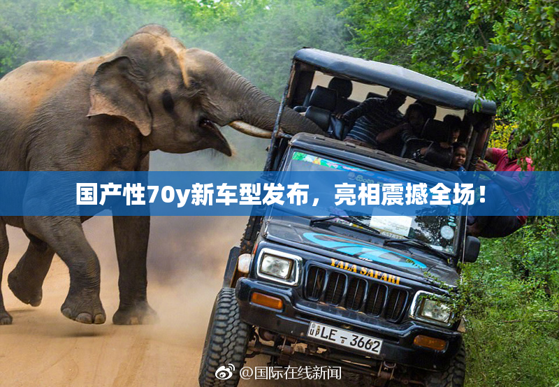 国产性70y新车型发布，亮相震撼全场！