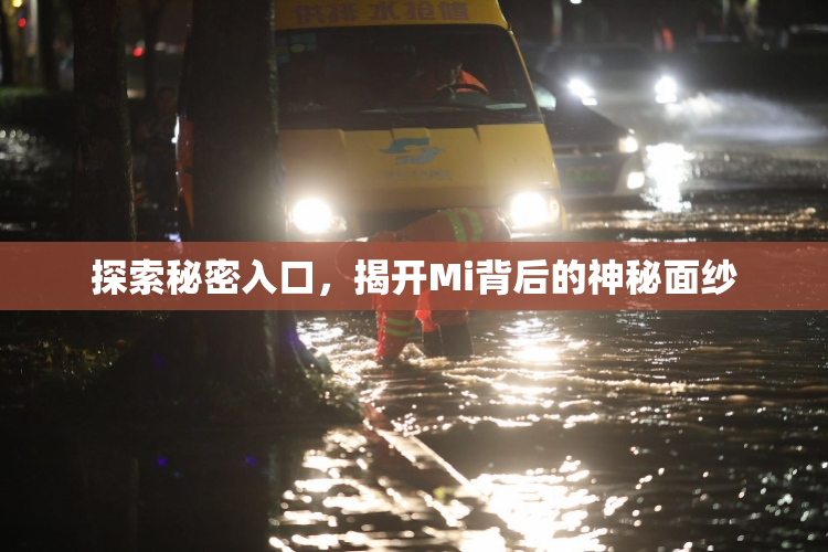 探索秘密入口，揭开Mi背后的神秘面纱