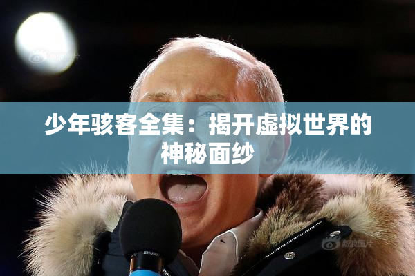 少年骇客全集：揭开虚拟世界的神秘面纱