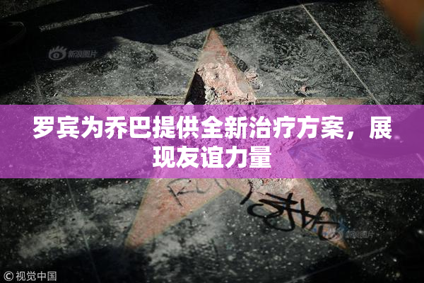 罗宾为乔巴提供全新治疗方案，展现友谊力量