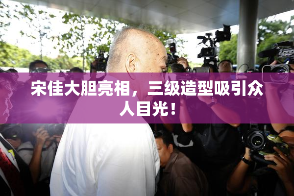 宋佳大胆亮相，三级造型吸引众人目光！
