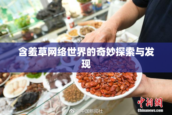 含羞草网络世界的奇妙探索与发现