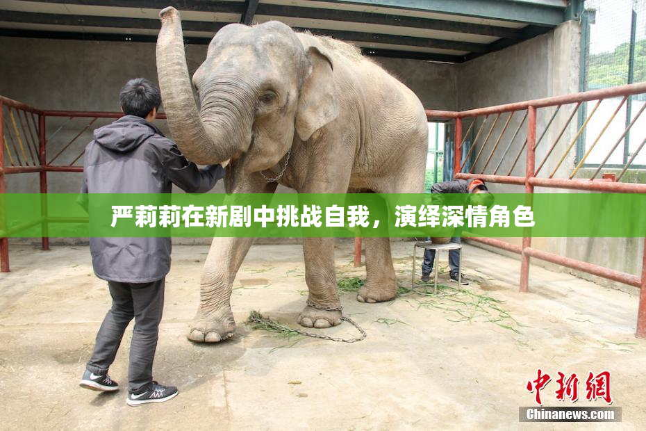 严莉莉在新剧中挑战自我，演绎深情角色