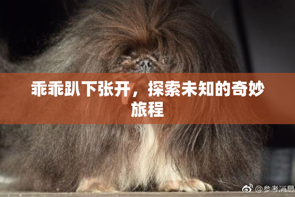 乖乖趴下张开，探索未知的奇妙旅程