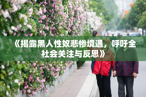 《揭露黑人性奴悲惨境遇，呼吁全社会关注与反思》