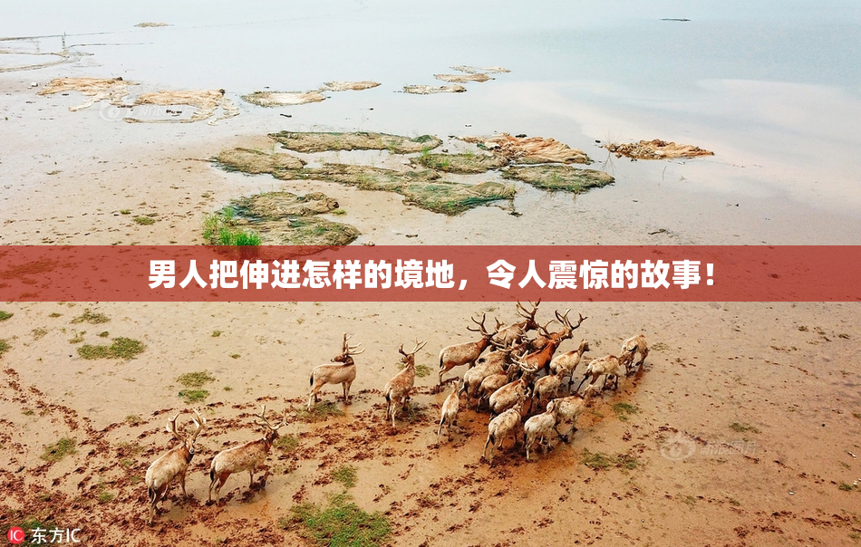 男人把伸进怎样的境地，令人震惊的故事！