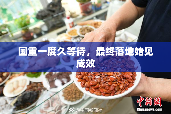 国重一度久等待，最终落地始见成效