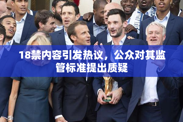 18禁内容引发热议，公众对其监管标准提出质疑