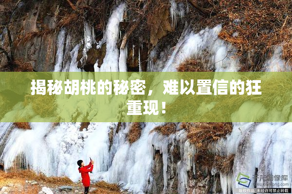 揭秘胡桃的秘密，难以置信的狂重现！