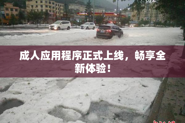 成人应用程序正式上线，畅享全新体验！