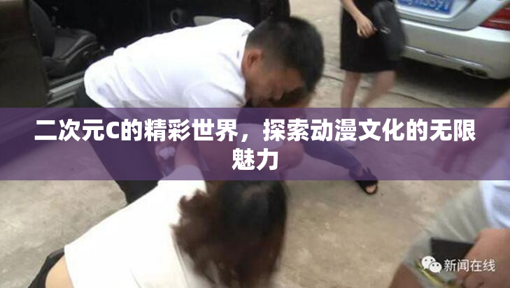 二次元C的精彩世界，探索动漫文化的无限魅力