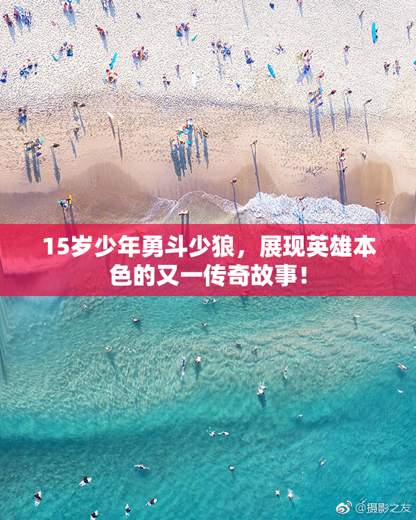 15岁少年勇斗少狼，展现英雄本色的又一传奇故事！