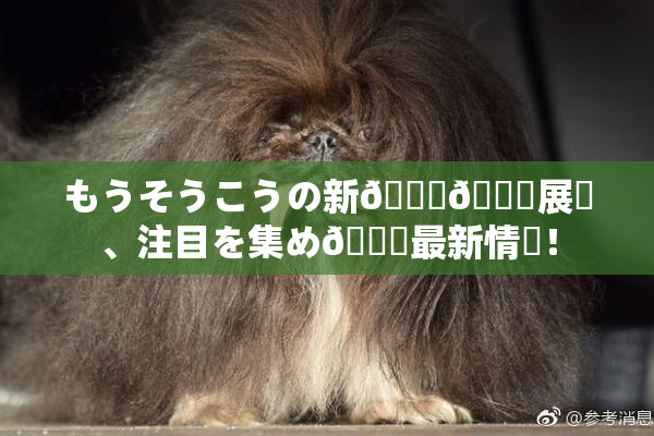 もうそうこうの新👅🍑展開、注目を集め🌃最新情報！