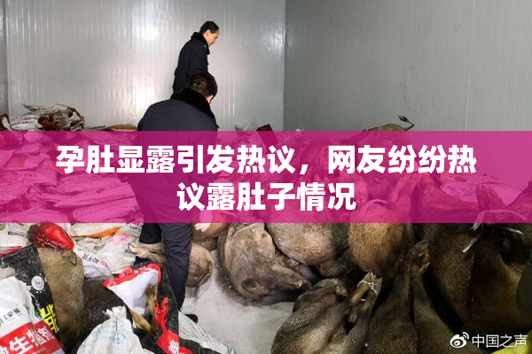 孕肚显露引发热议，网友纷纷热议露肚子情况