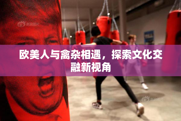 欧美人与禽杂相遇，探索文化交融新视角