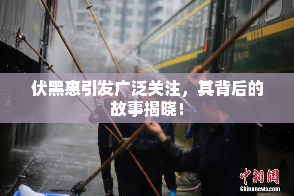 伏黑惠引发广泛关注，其背后的故事揭晓！