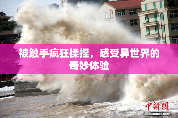 被触手疯狂揉捏，感受异世界的奇妙体验
