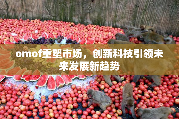 omof重塑市场，创新科技引领未来发展新趋势