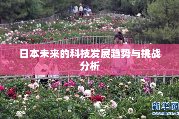 日本未来的科技发展趋势与挑战分析